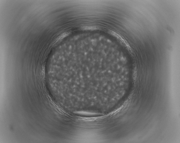 X0000115320825200912141156