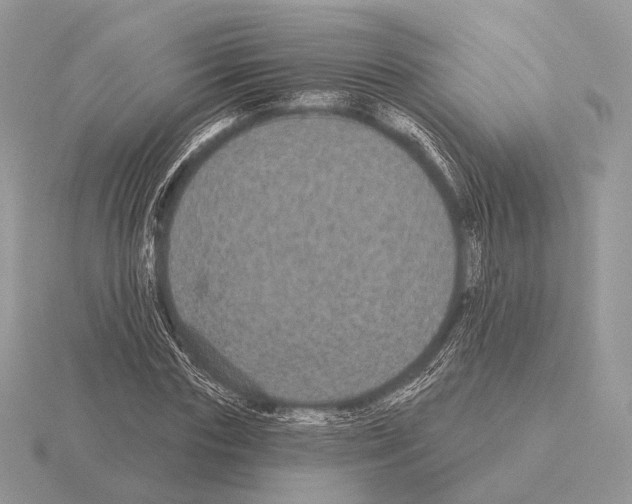 X0000115320827200912141156