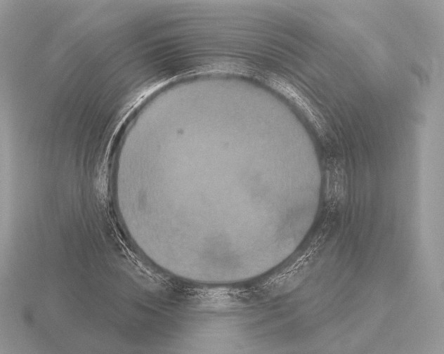 X0000115320828200912141156