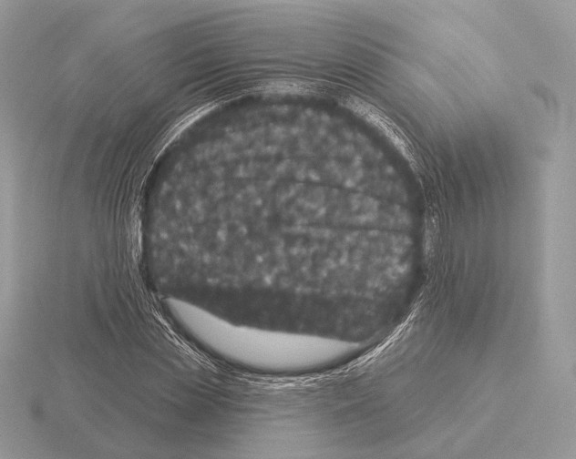 X0000115320829200912141156