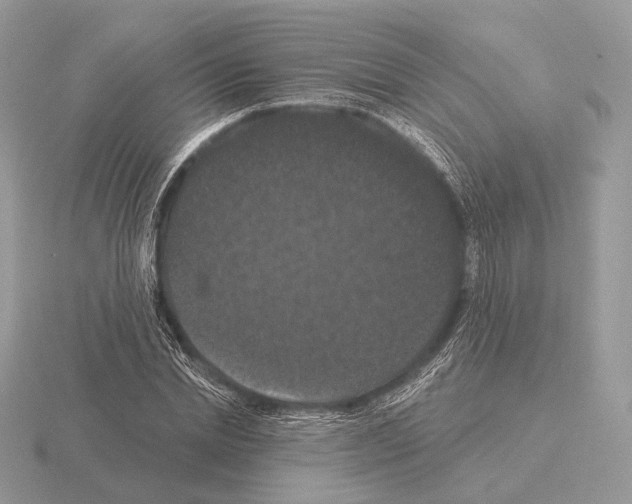 X0000115320830200912141156