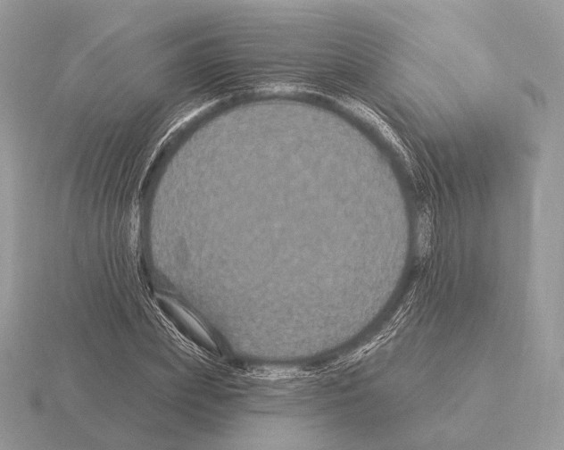 X0000115320831200912141156