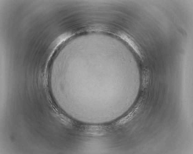 X0000115320832200912141156