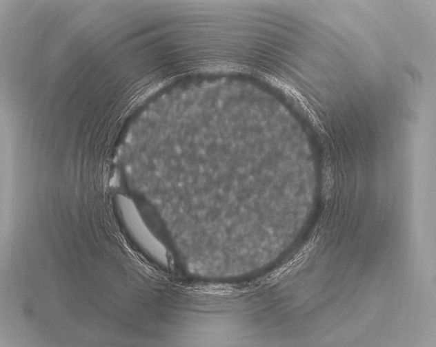 X0000115320833200912141156