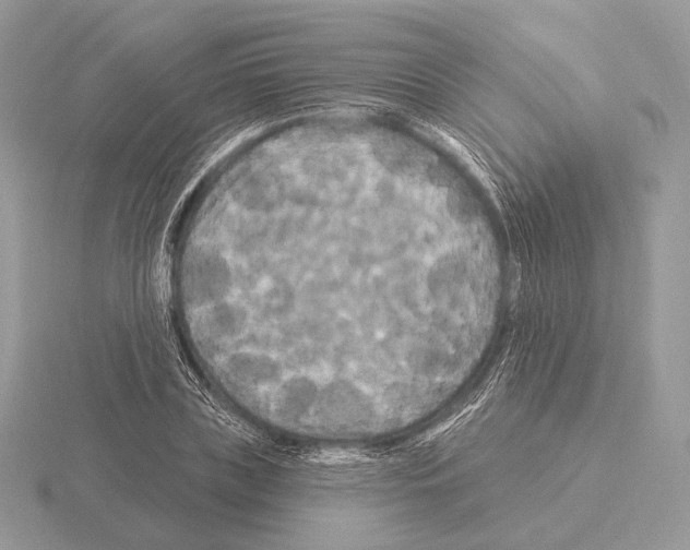 X0000115320835200912141156