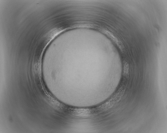 X0000115320836200912141156