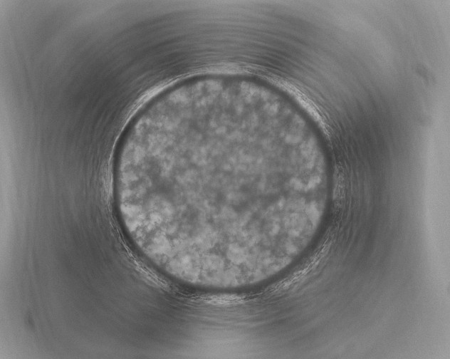 X0000115320837200912141156