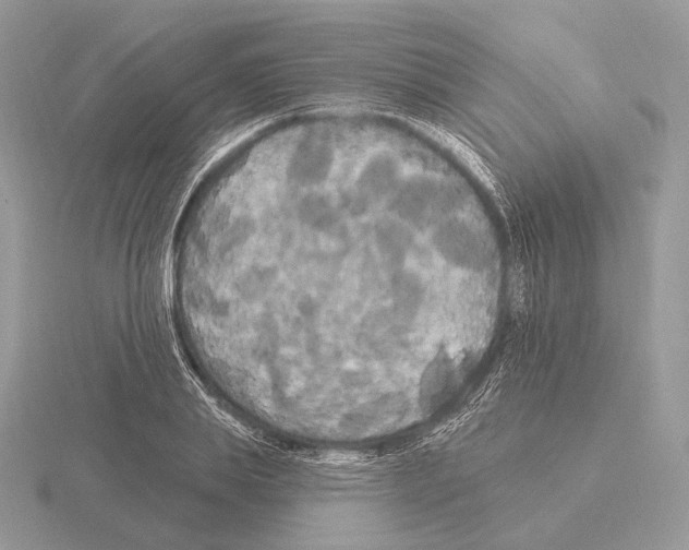 X0000115320839200912141156