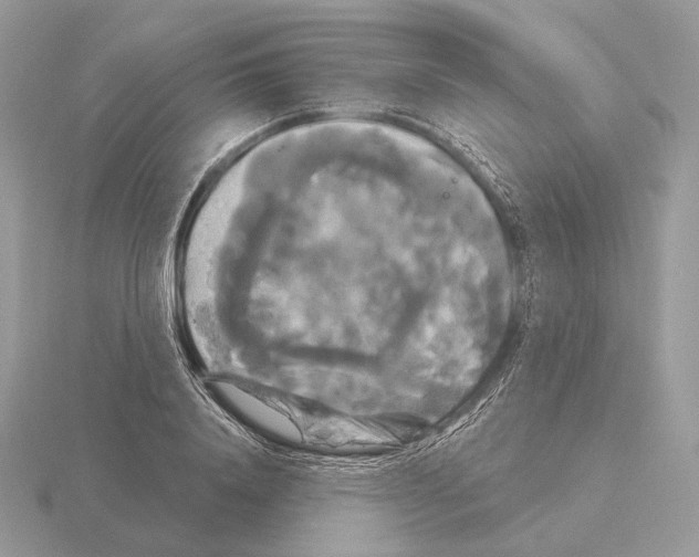 X0000115320840200912141156