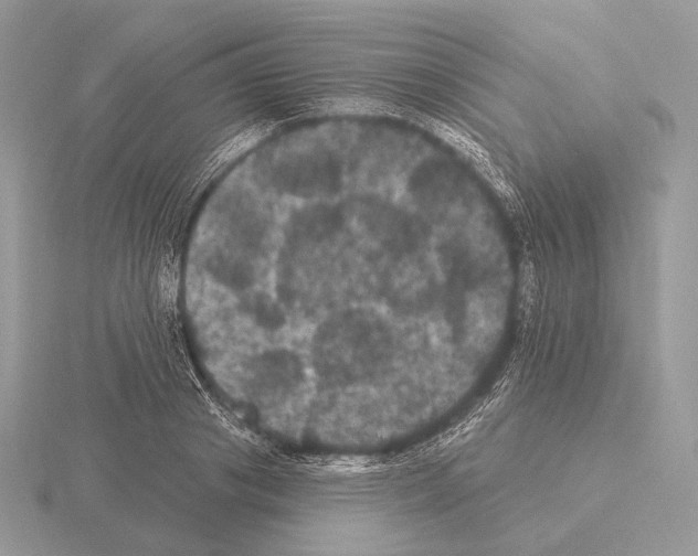 X0000115320841200912141156