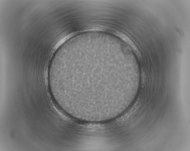 X0000115320842200912141156