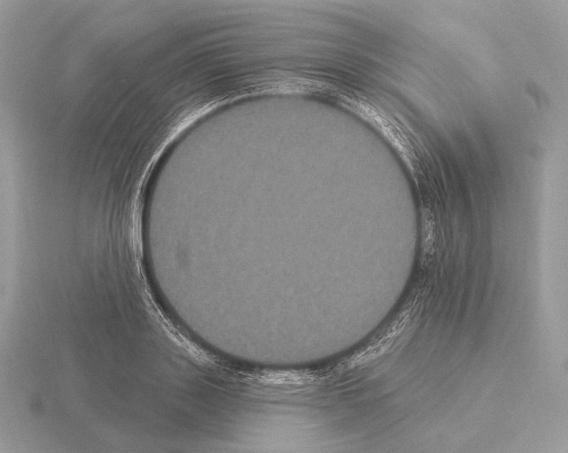 X0000115320843200912141156