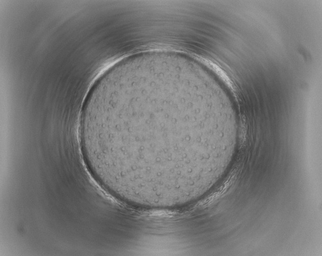 X0000115320847200912141156