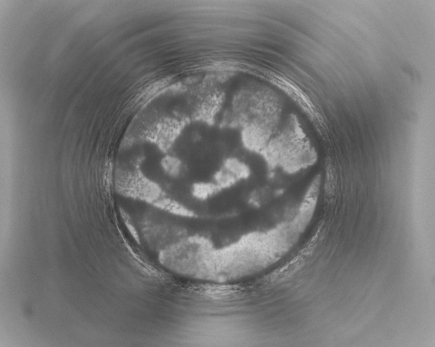 X0000115320849200912141156