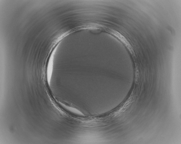 X0000115320850200912141156