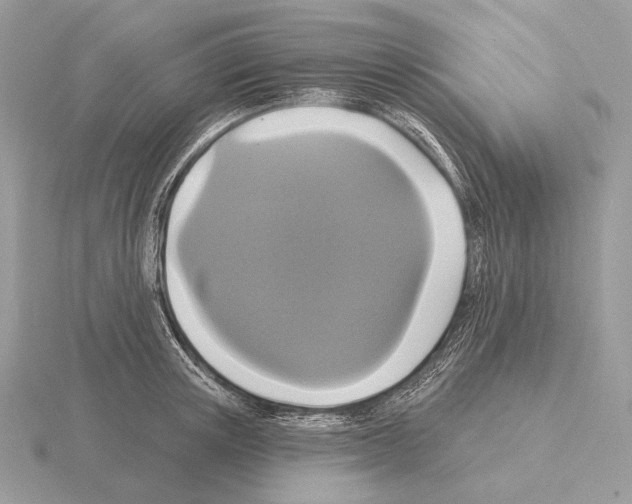 X0000115320851200912141156