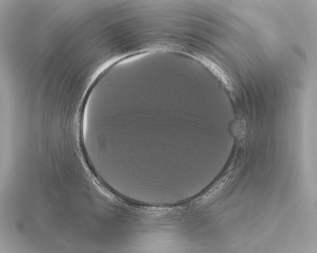 X0000115320854200912141156