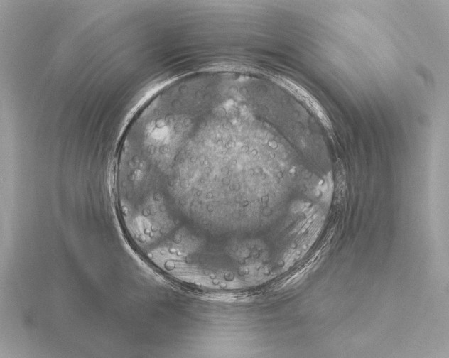 X0000115320855200912141156