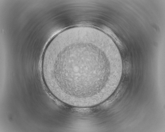 X0000115320856200912141156