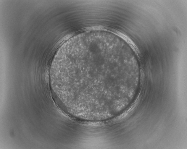 X0000115320857200912141156