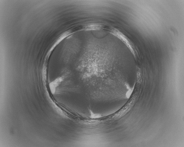 X0000115320859200912141156