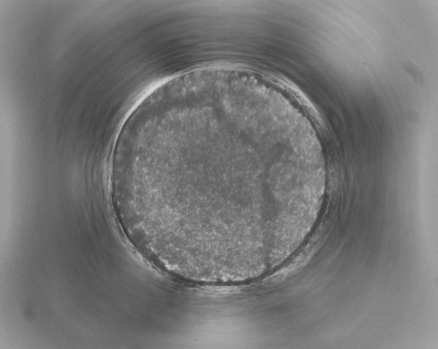 X0000115320860200912141156