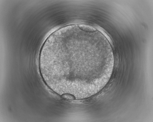 X0000115320861200912141156