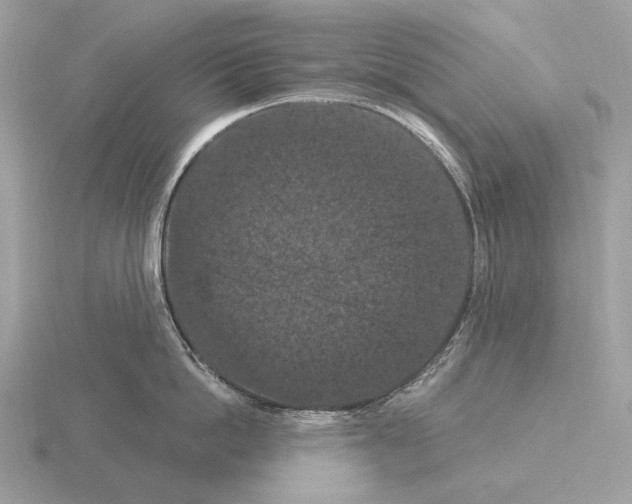 X0000115320862200912141156