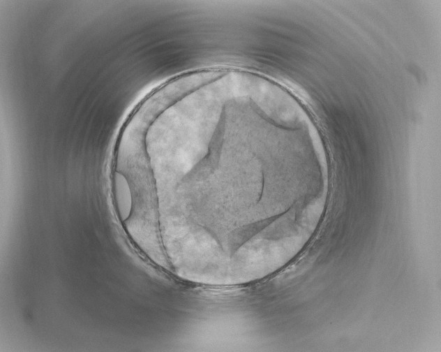 X0000115320864200912141157