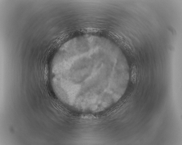 X0000115320866200912141156