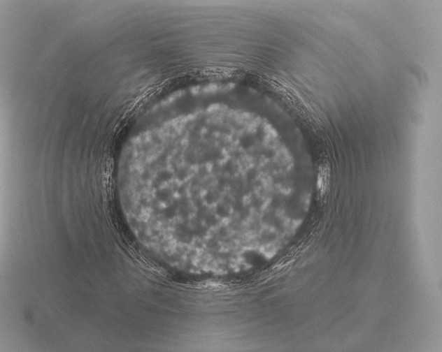 X0000115320867200912141156