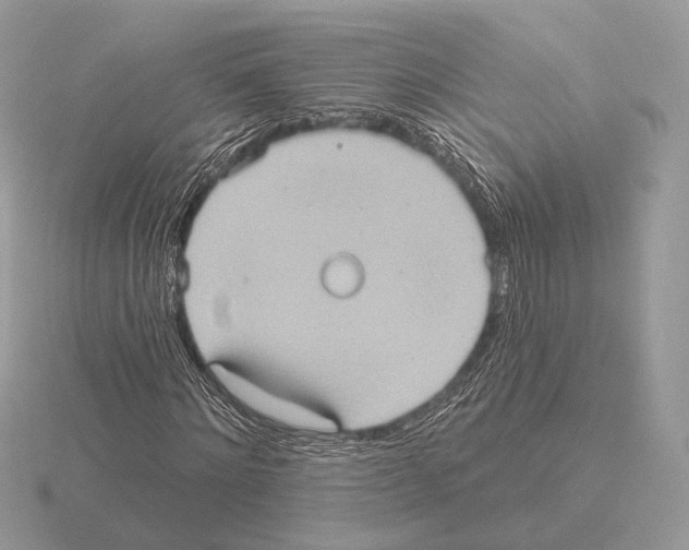 X0000115320868200912141156