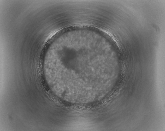 X0000115320871200912141156