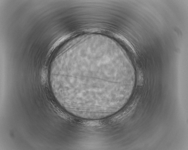 X0000115320874200912141156