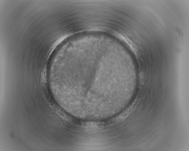 X0000115320875200912141156