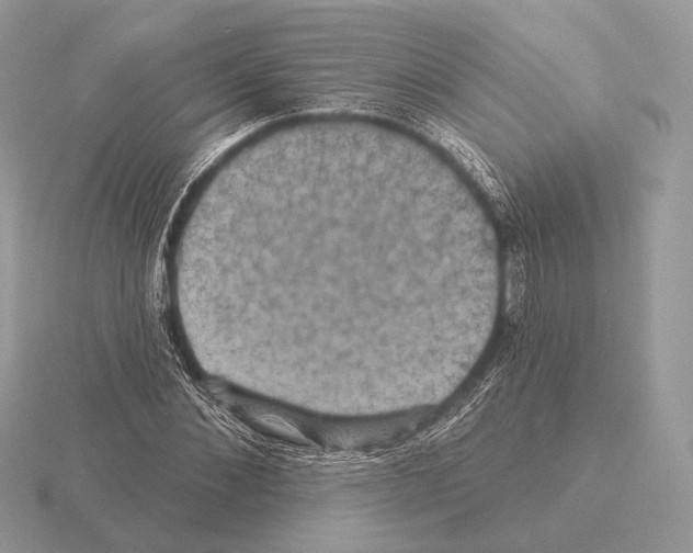 X0000115320876200912141156