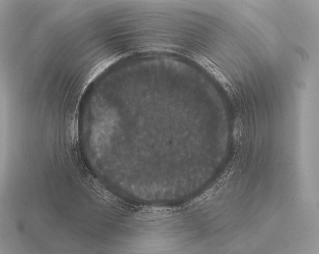 X0000115320877200912141156