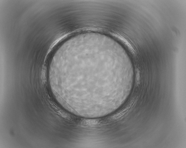 X0000115320878200912141156