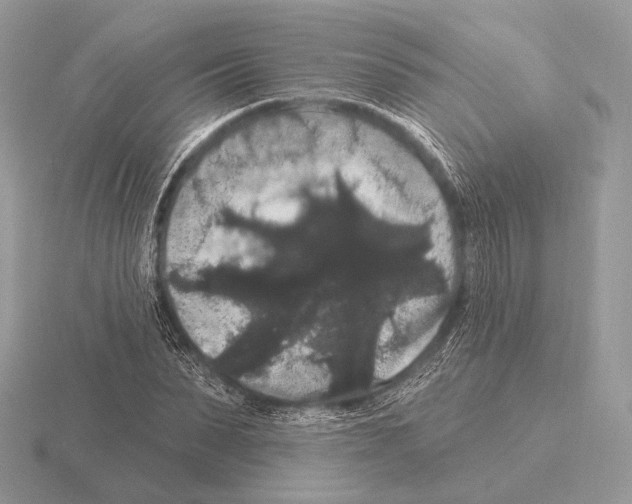 X0000115320879200912141156