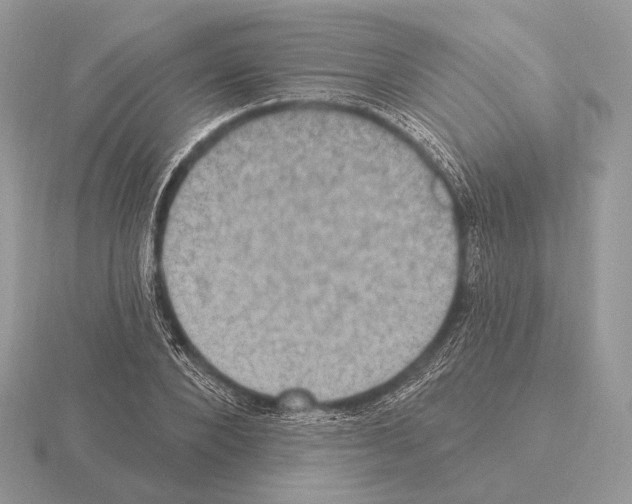 X0000115320880200912141156