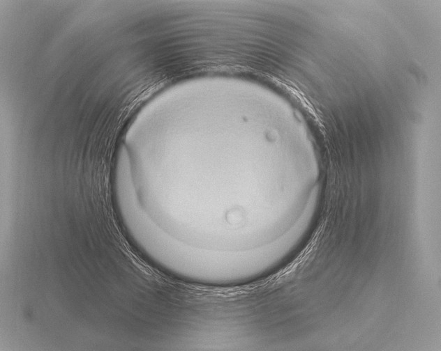 X0000115320881200912141156