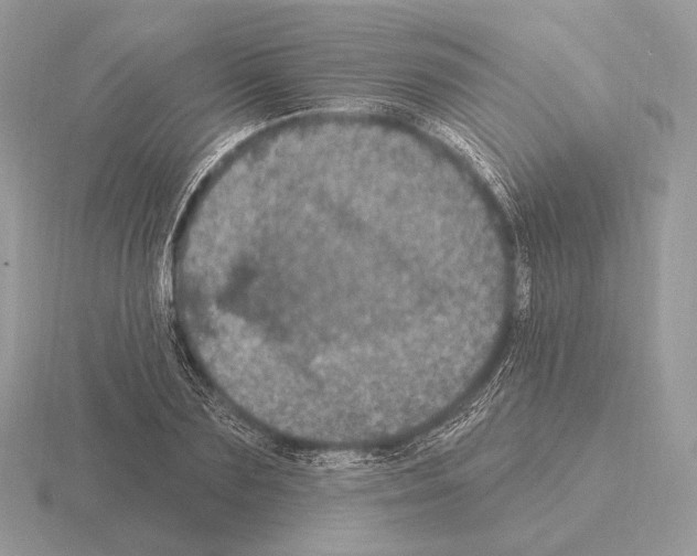 X0000115320883200912141156