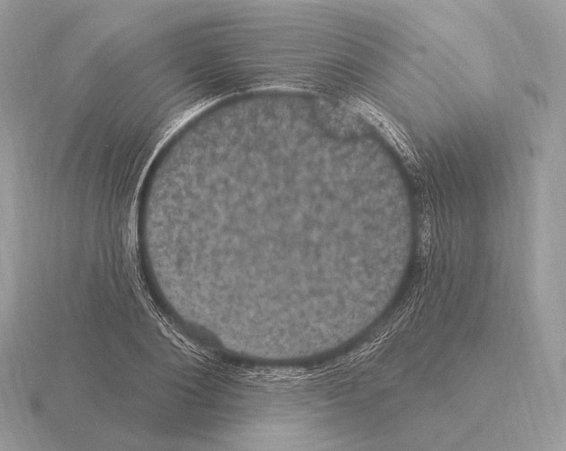 X0000115320884200912141156