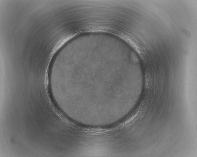 X0000115320885200912141156