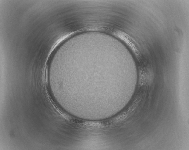 X0000115320886200912141156