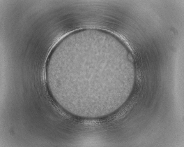 X0000115320887200912141156