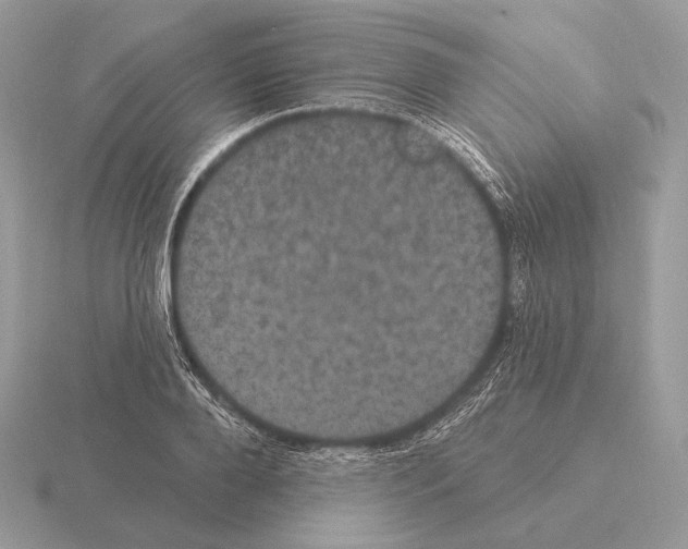 X0000115320888200912141156