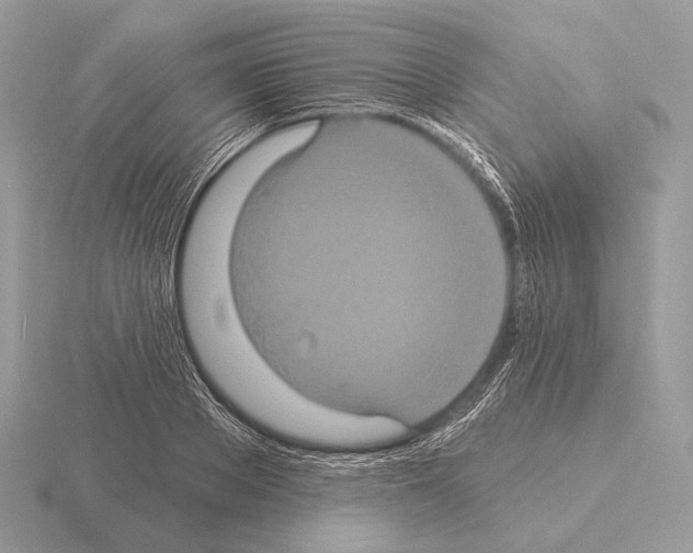 X0000115320889200912141156