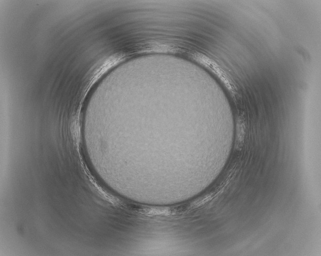 X0000115320890200912141156