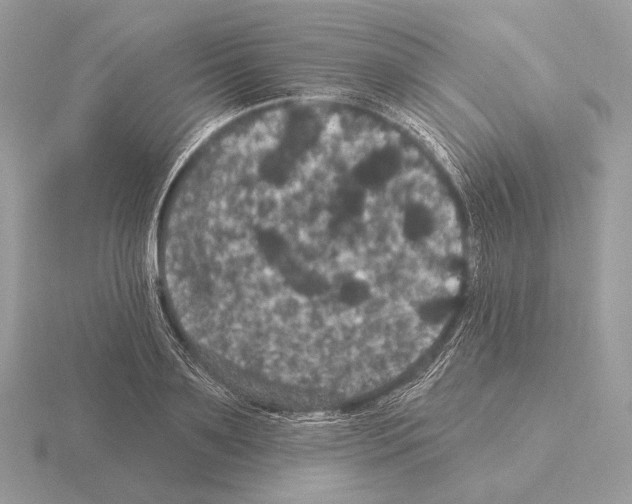 X0000115320891200912141156